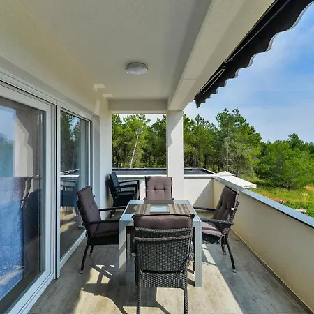 Olujic Apartment Vir